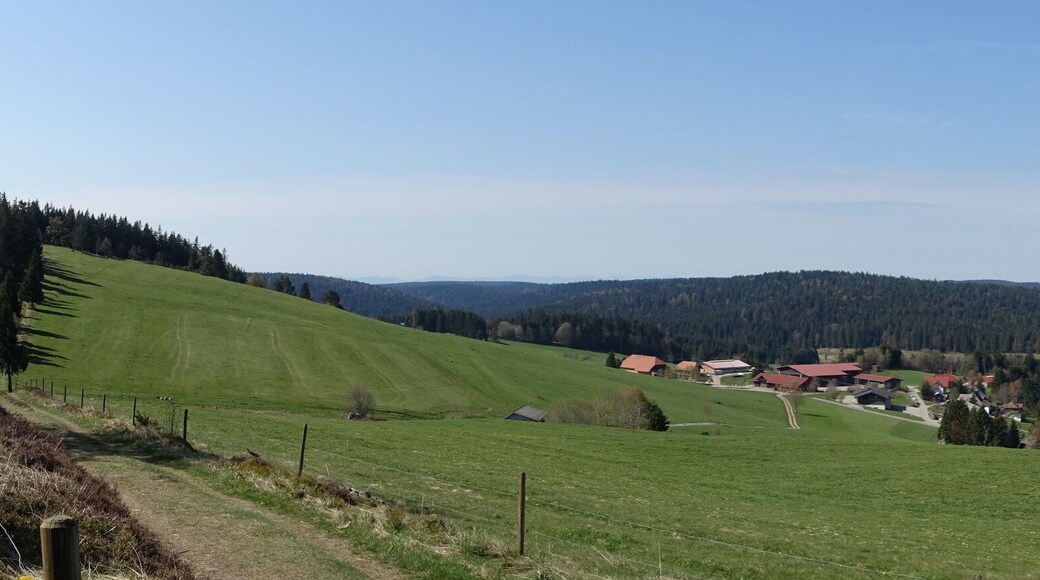 Ibach (Schwatzwald) Blick vom Panoramaweg