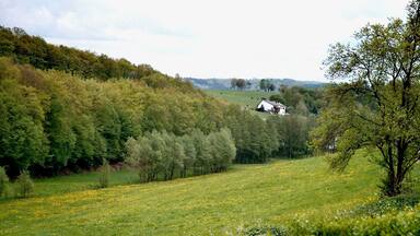 Blaubach, the valley of the Blaubach