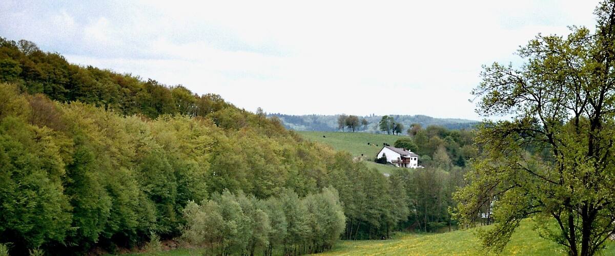 A rural landscape with a white house on a hill, surrounded by lush greenery and a field of yellow flowers.