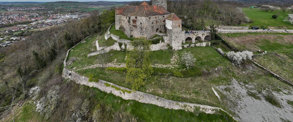 A historic castle with a tower, surrounded by a moat and greenery, overlooking a town.