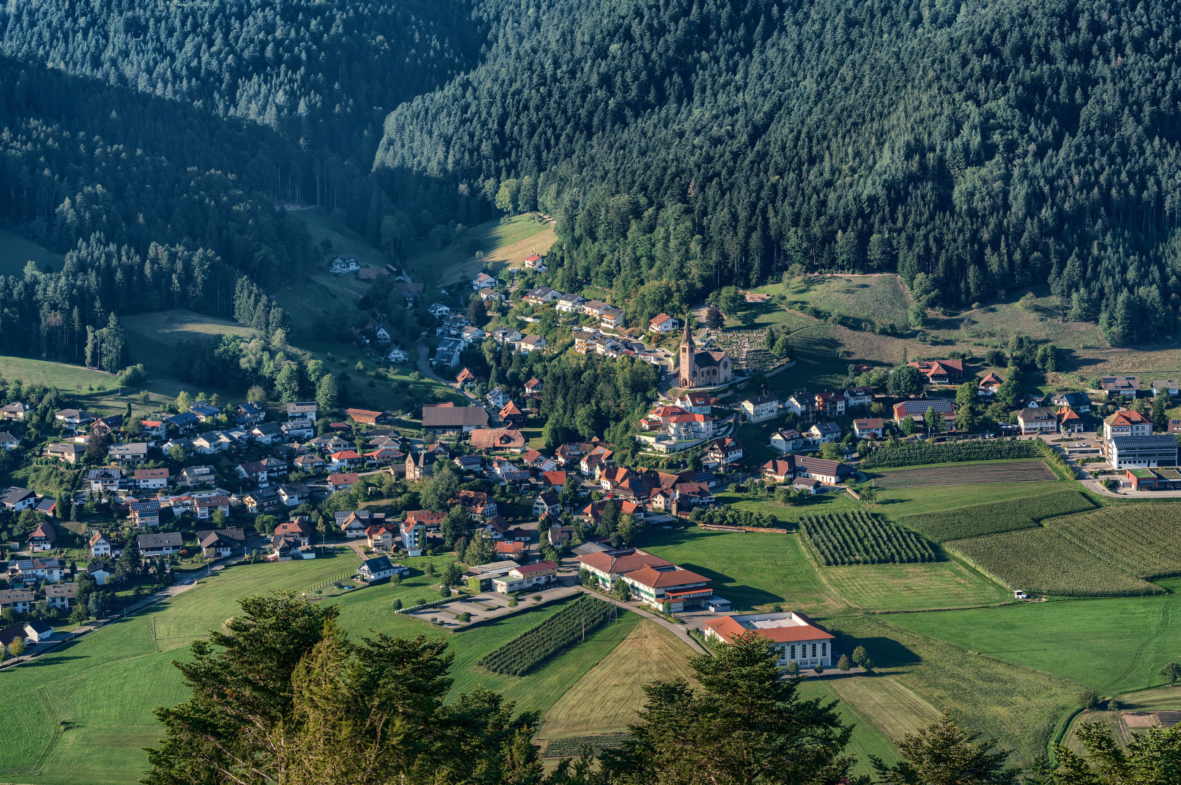A village nestled in a valley surrounded by dense forests, with houses and a church.