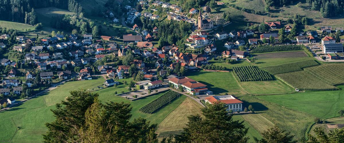 A village nestled in a valley surrounded by dense forests, with houses and a church.