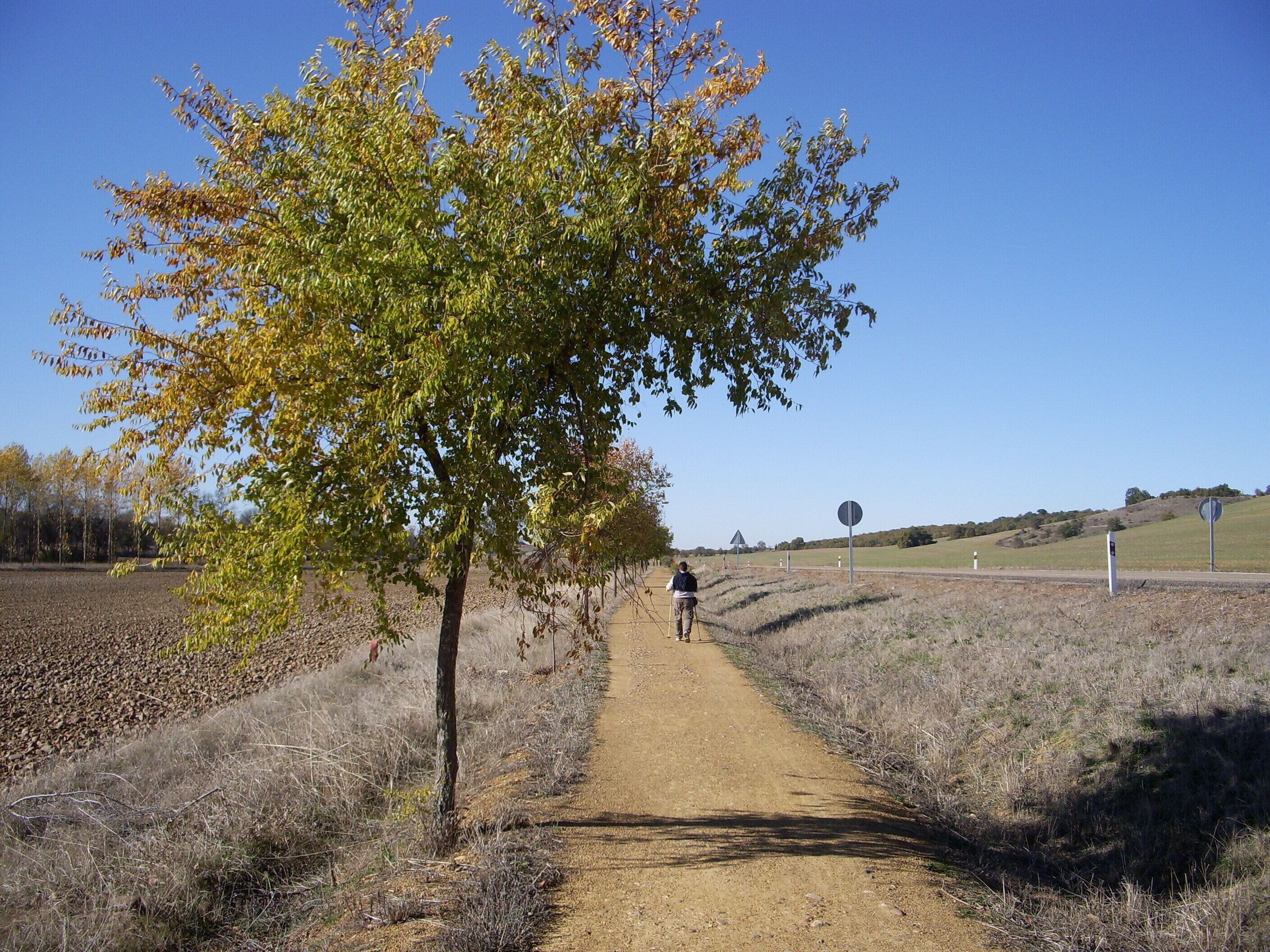 Saliendo de Calzadilla