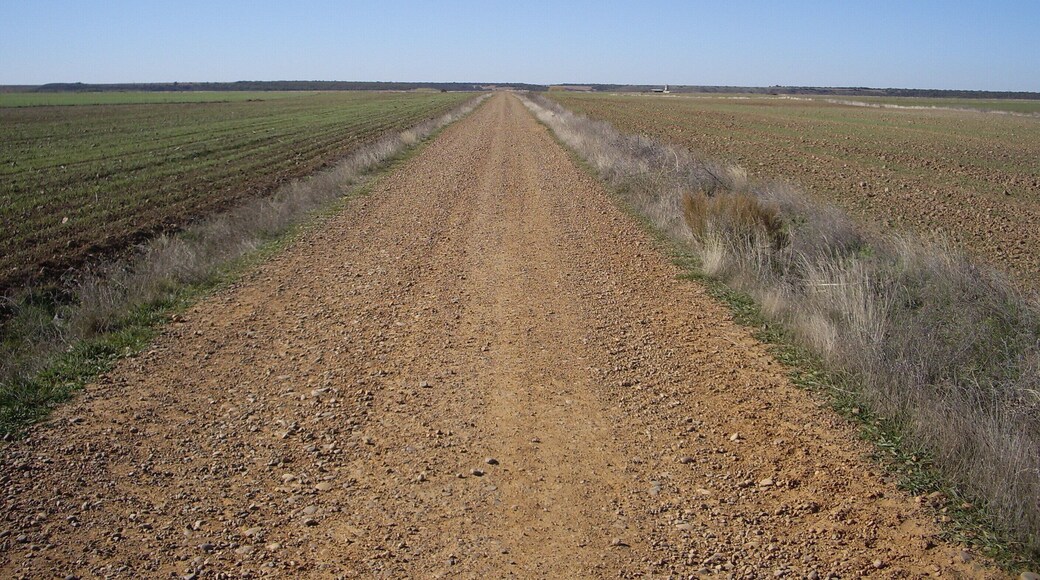 Calzadilla de la Cueza