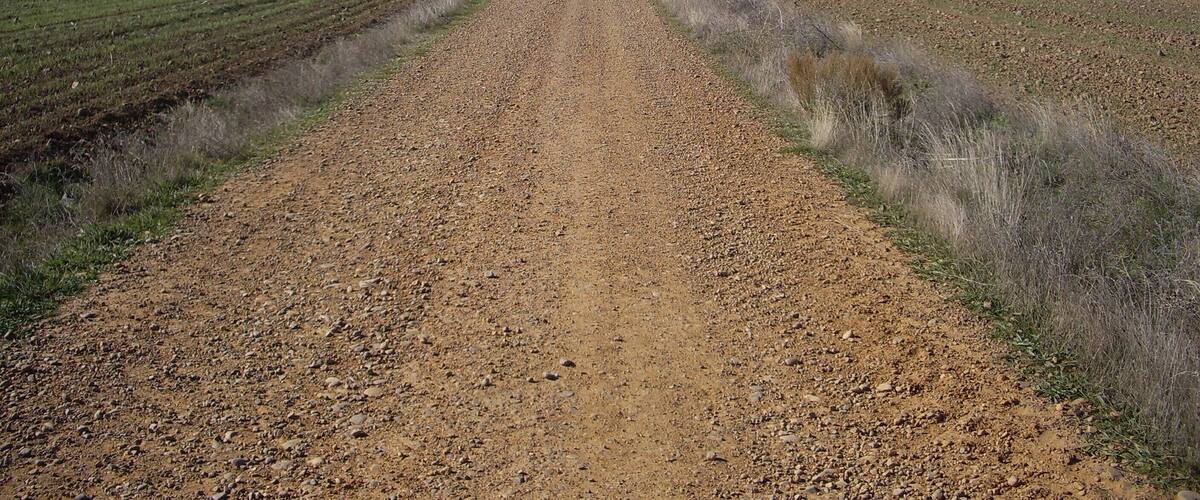 A gravel road extending into a flat agricultural field under a clear sky.