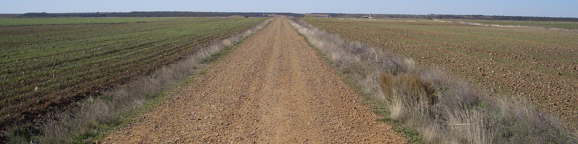 A gravel road extending into a flat agricultural field under a clear sky.