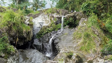 Uma cascata descendo sobre rochas, cercada por vegetação exuberante.