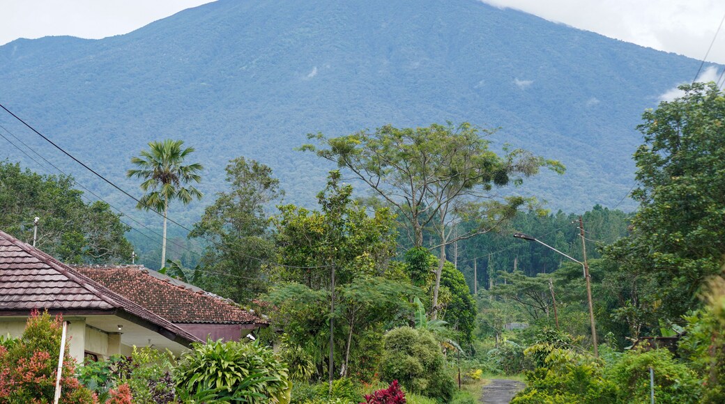 The beauty of Baturaden landscape in Banyumas Regency, Central Java, indonesia. It was taken on January 08, 2025 by a professional. It's a wonderful landscape with a nice view