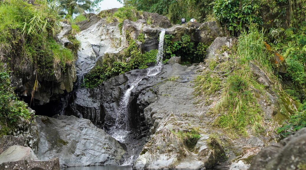 The beauty of Baturaden Landscape in Banyumas Regency, Central Java, indonesia. It was taken on December 2, 2024 by a professional. It's a wonderful landscape with a nice view