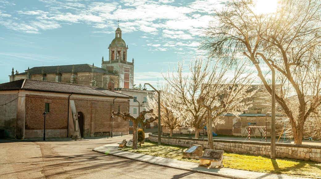 Carrion de los Condes Tierra de Campos, Spain
