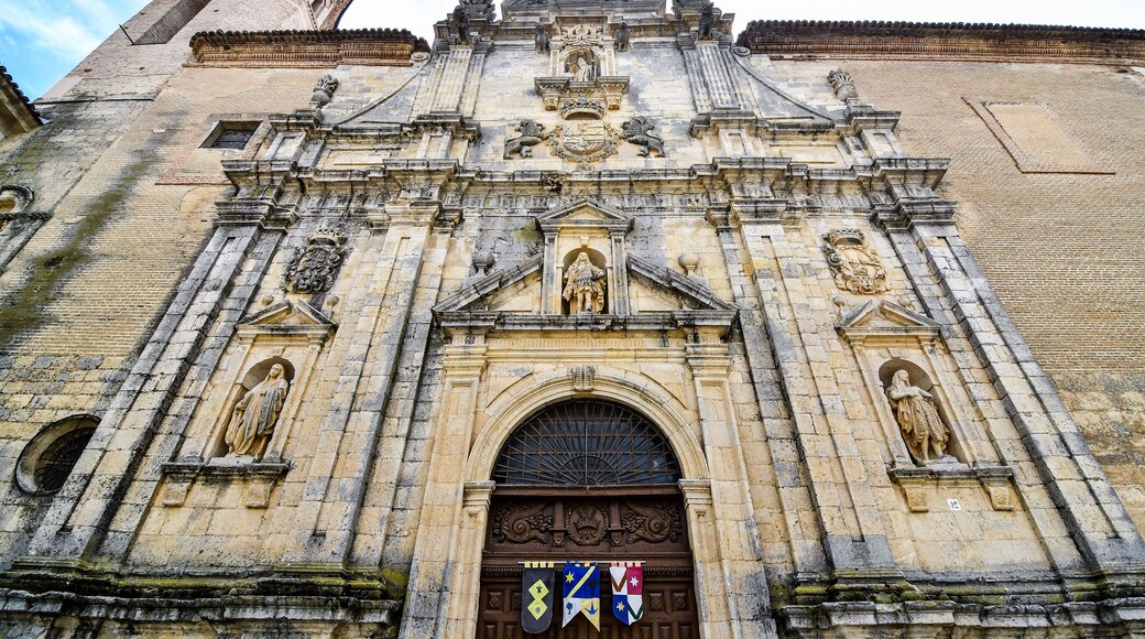 Detail view of Carrion de los condes, palencia spanish city in leon spain.