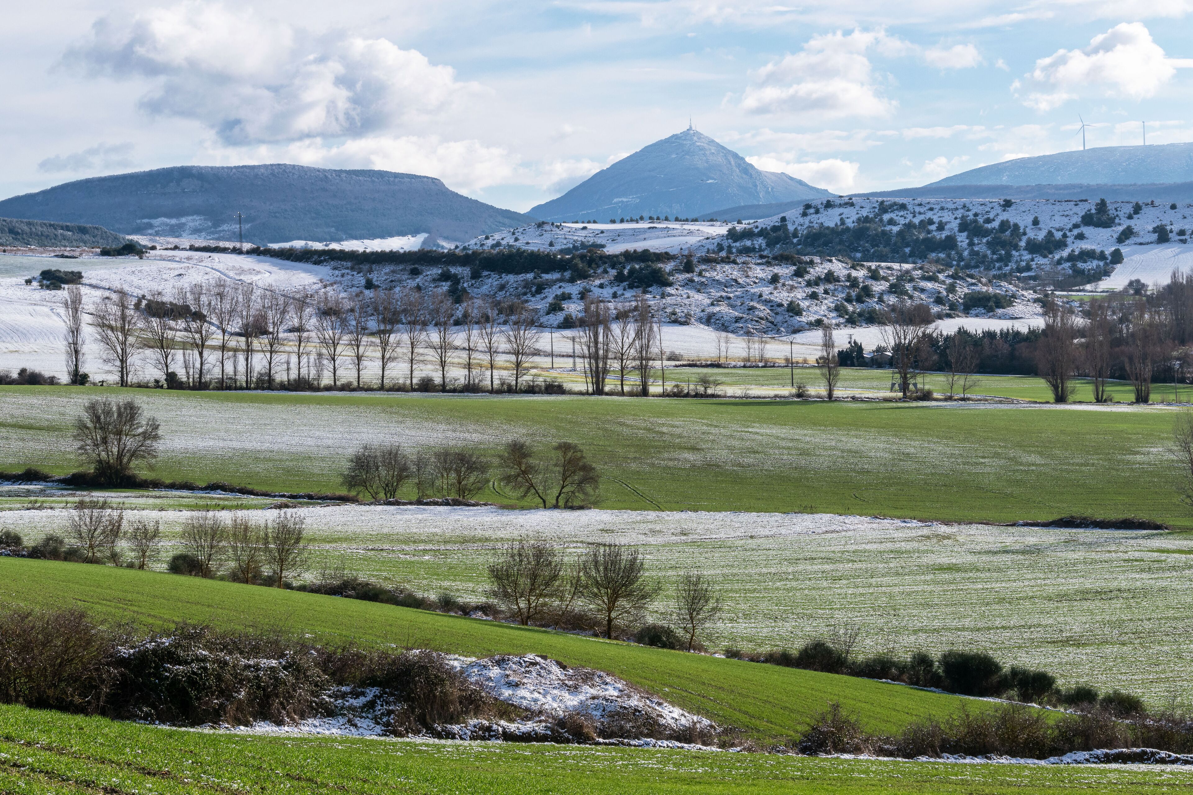 A snow-covered landscape with green fields, trees, and distant mountains.