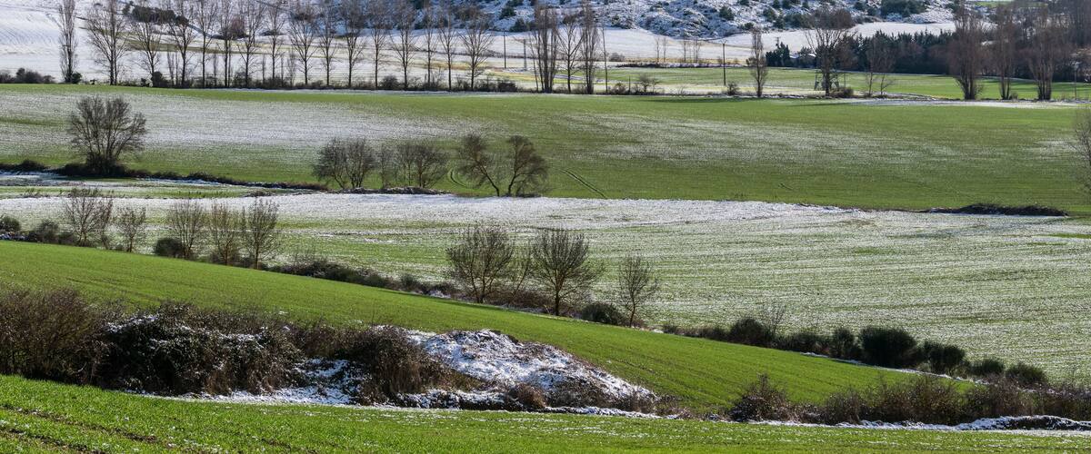 A snow-covered landscape with green fields, trees, and distant mountains.