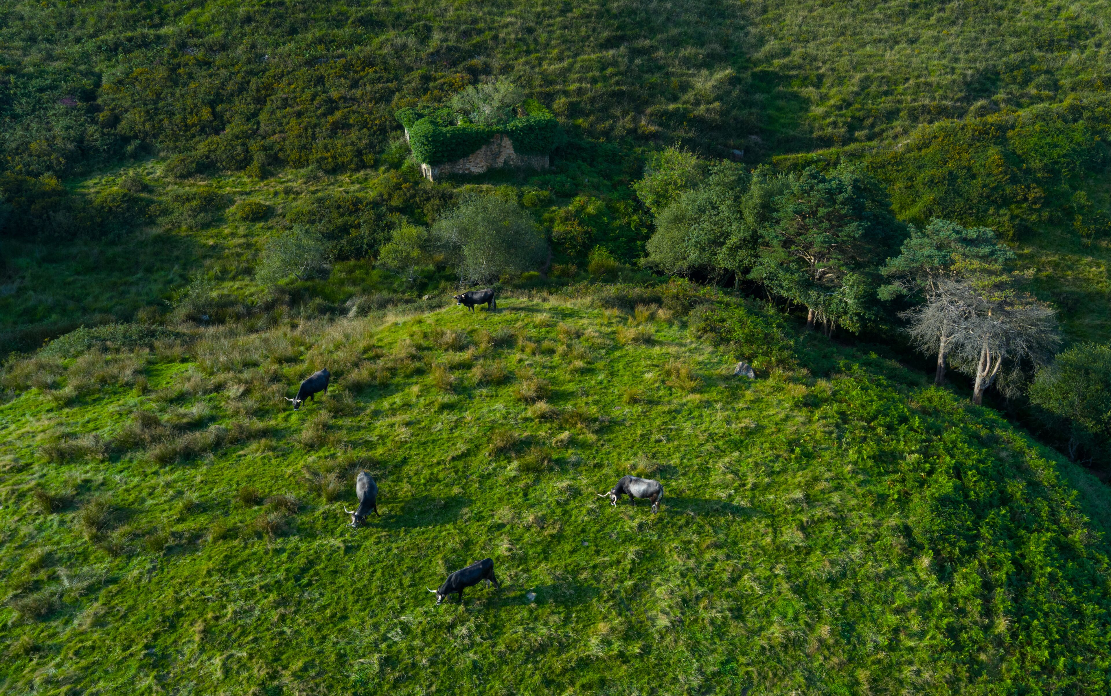 سانتا ماريا دي كانيون