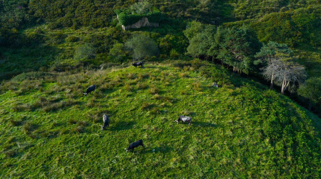 Santa María de Cayón