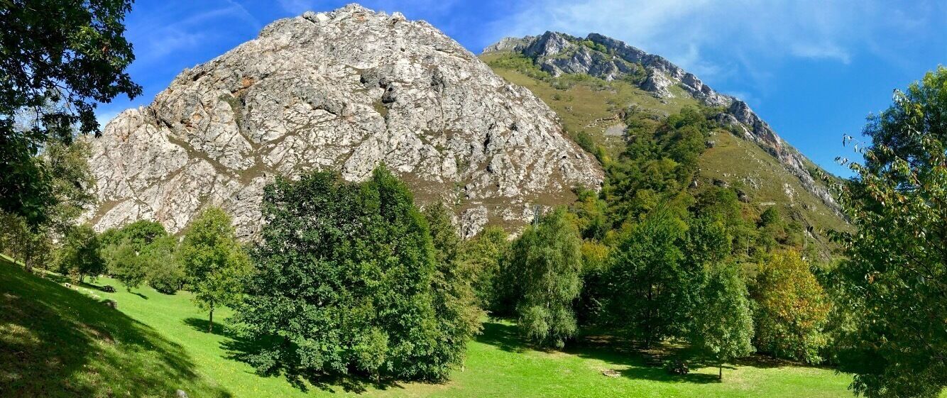 A rocky mountain with a grassy foreground and trees.