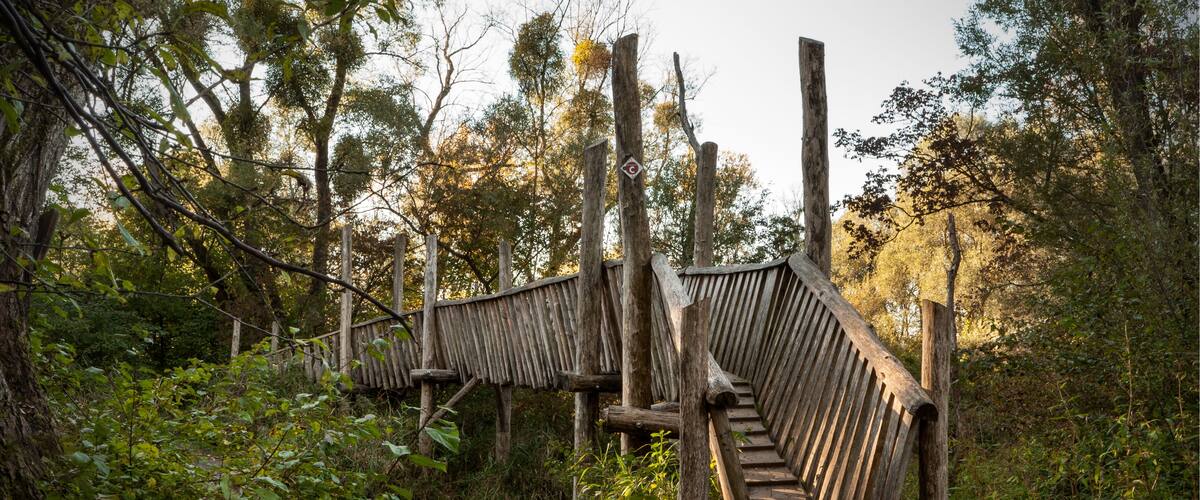 A wooden footbridge in a forested area.