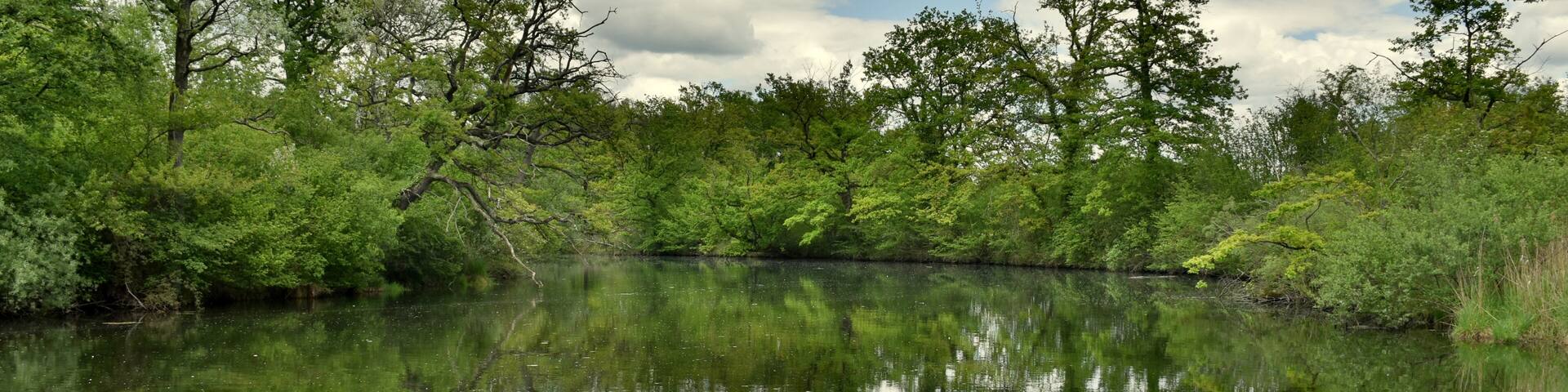 Rheinauen im Naturschutzgebiet Taubergießen