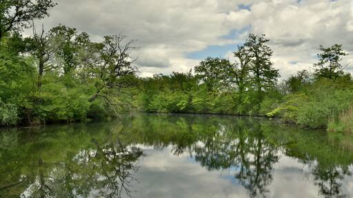 Rheinauen im Naturschutzgebiet Taubergießen