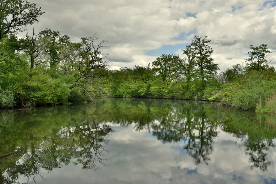 Rheinauen im Naturschutzgebiet Taubergießen