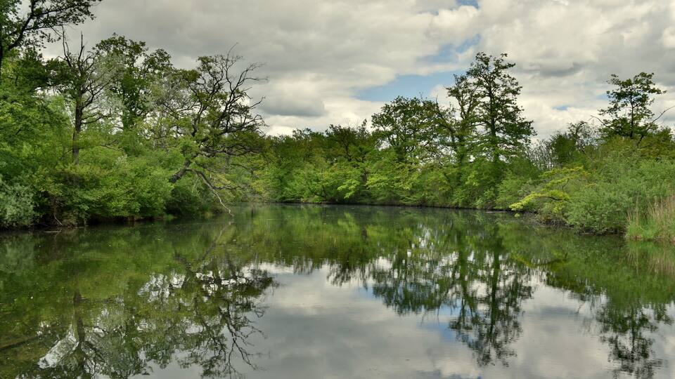 A calm river reflecting trees and a cloudy sky.