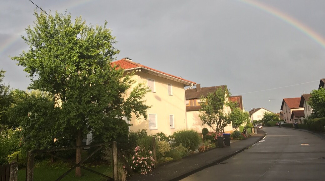 #Patterns
Regenbogen