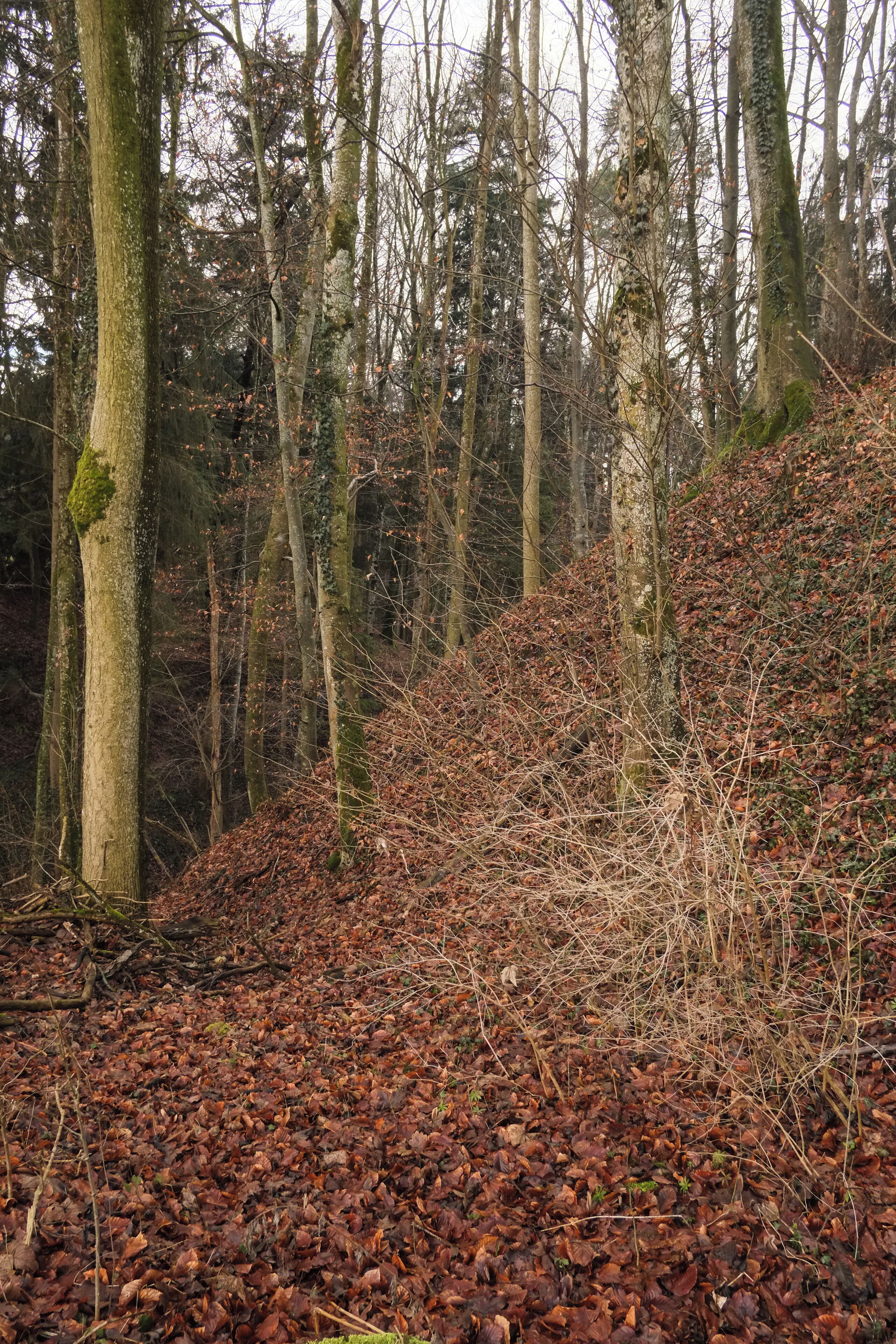 Demolished castle Schloßbuckel Ramsenbühl, Oberteuringen, district Bodenseekreis, Baden-Württemberg, Germany