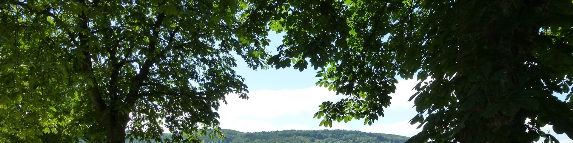 Teil des Hafens in Ăhningen mit Blick auf die Schweiz.
