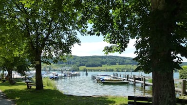 A lakeside park with boats docked, trees, and a bench.