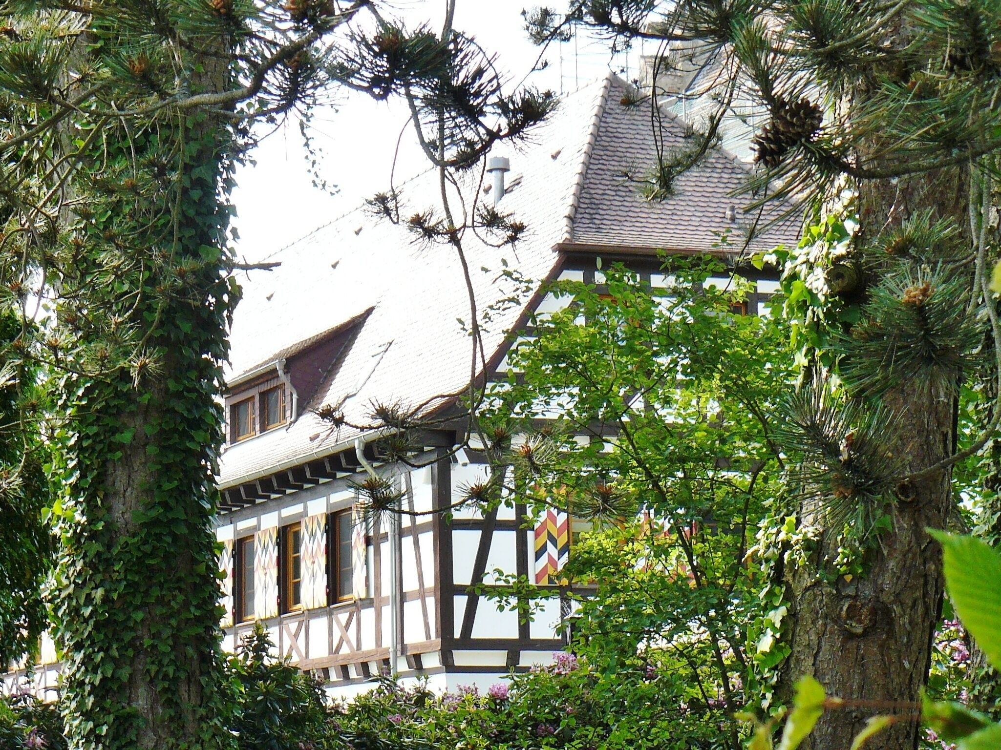 Schloss Oberstaad