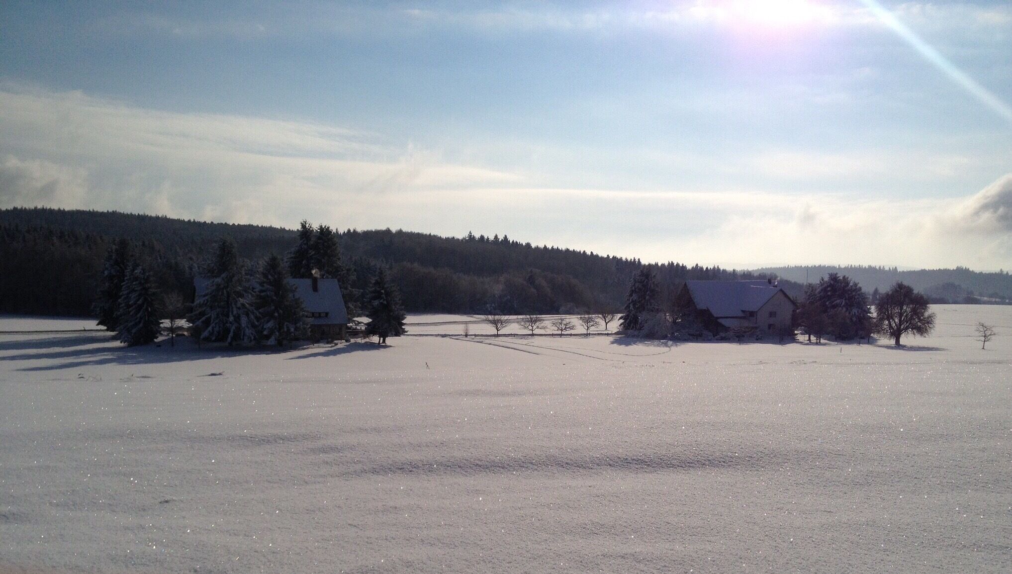 A snowy landscape with a house and trees.