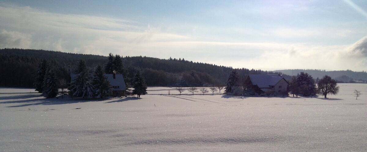 A snowy landscape with a house and trees.