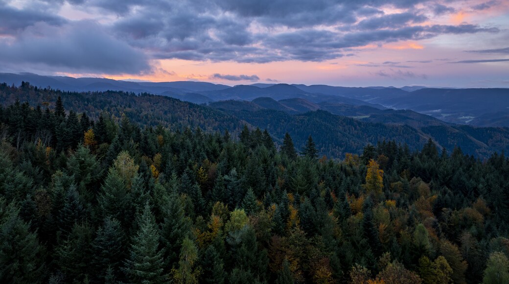 ์คํ
ํธํ ์ ์๋ฐ๋ฅด์ธ ๋ฐํธ