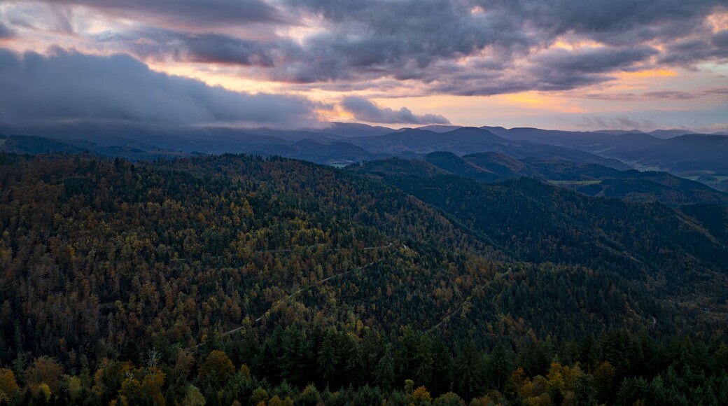 ์คํ
ํธํ ์ ์๋ฐ๋ฅด์ธ ๋ฐํธ