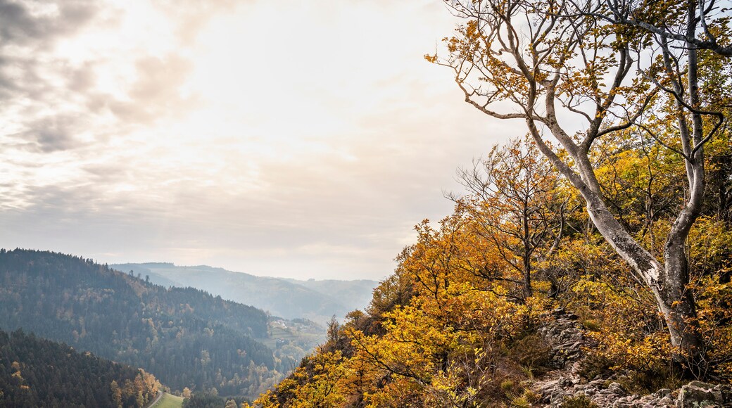 ์คํ
ํธํ ์ ์๋ฐ๋ฅด์ธ ๋ฐํธ