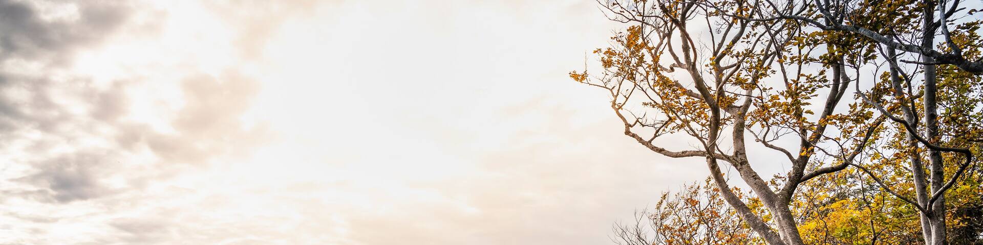 View from Karlsruher Grat (ridge) , black forest, Ottenhofen im Schwarzwald, Baden-Wurttemberg