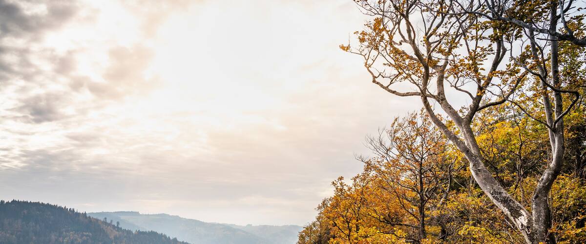 A mountainous landscape with autumn foliage, a winding road, and distant hills.