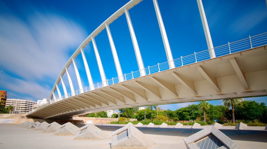 Valencia featuring a bridge, modern architecture and a city