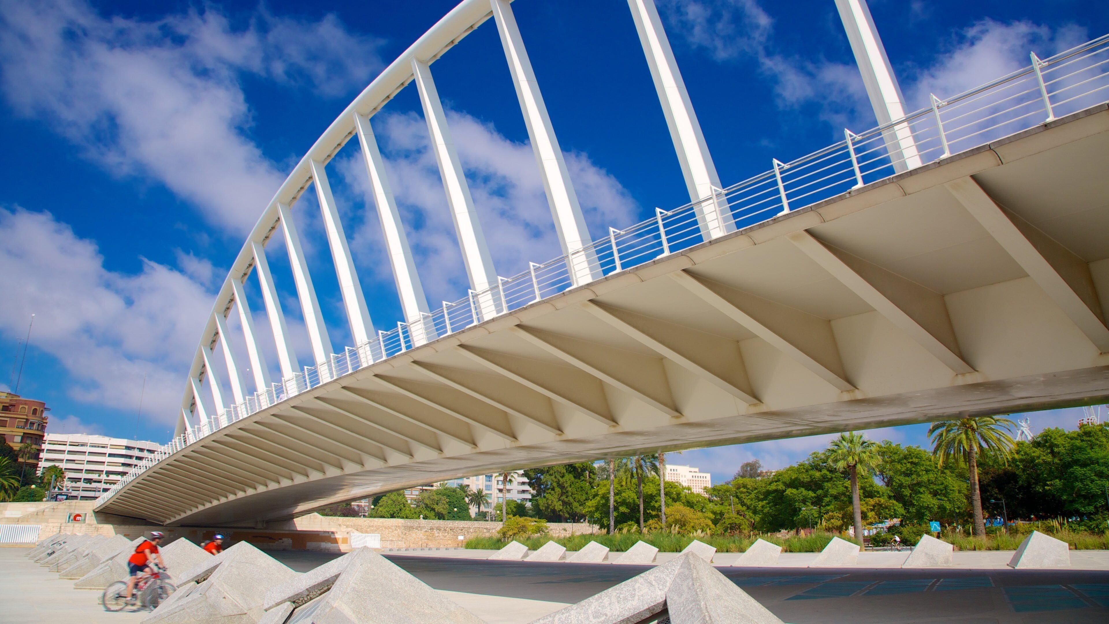 A modern bridge with white pillars and a curved design, spanning over a road with concrete barriers and a cyclist.