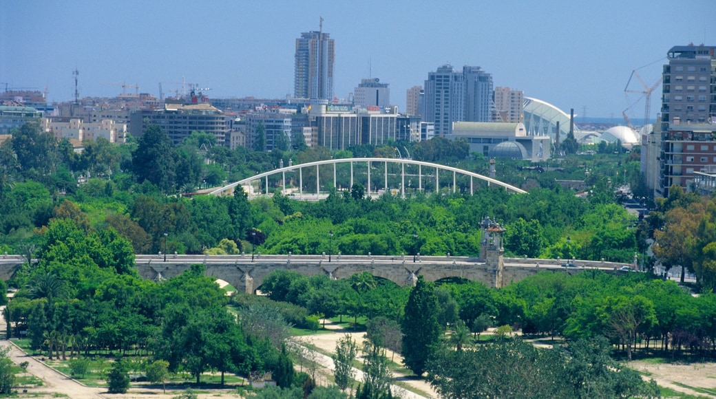 Valencia featuring a bridge, a city and a park