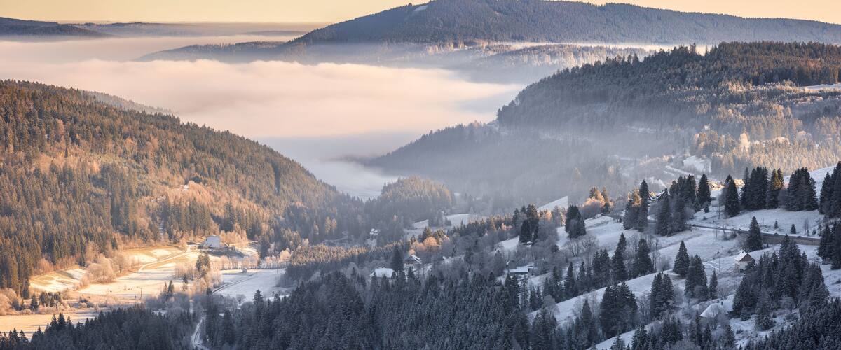 A snow-covered valley with dense forests and a misty lake.