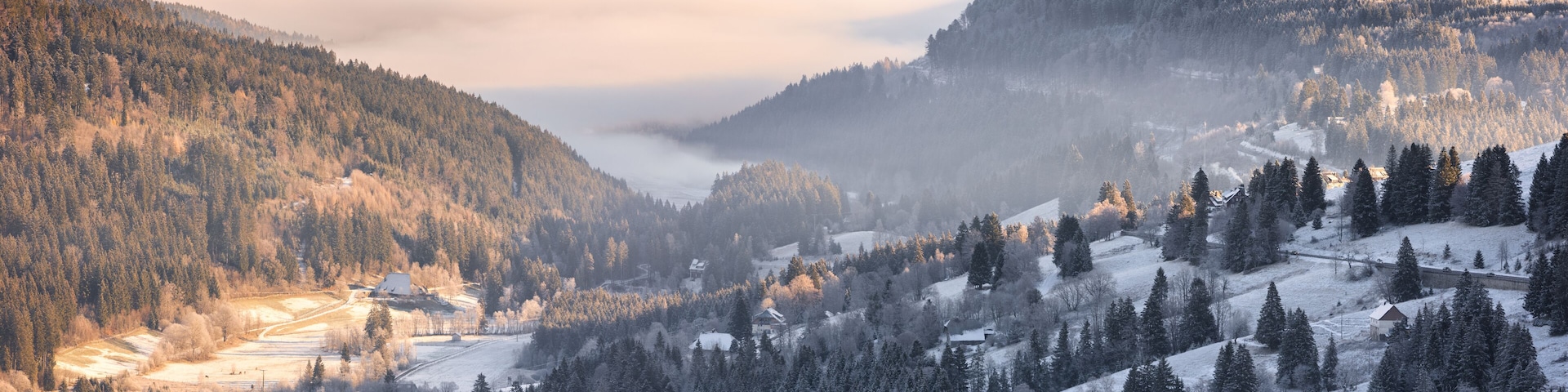 A snow-covered valley with dense forests and a misty lake.