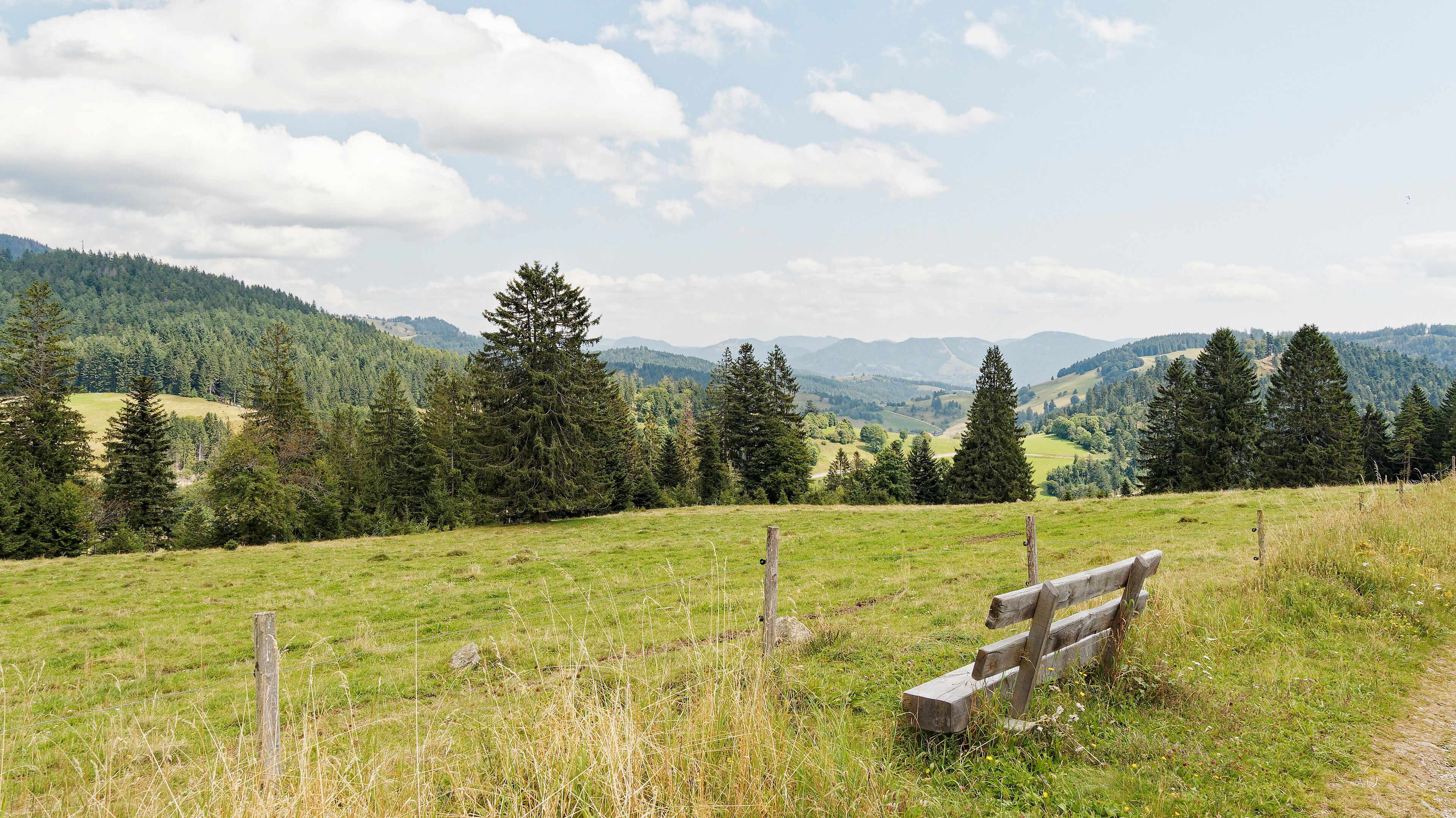 Landscape of Black Forest in Germany. Hiking path between bottom of cirque of Nonnenmattweiher and the Kreuzweg parking area with view to forested mountains, pastures in Münstertal valley and Belchen 