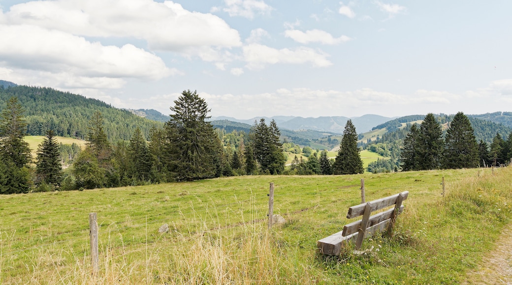 Landscape of Black Forest in Germany. Hiking path between bottom of cirque of Nonnenmattweiher and the Kreuzweg parking area with view to forested mountains, pastures in Münstertal valley and Belchen