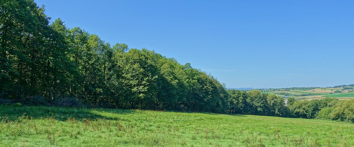 Sumpfiges Waldgebiet an flach geneigtem Westhang des Röttlerwaldes