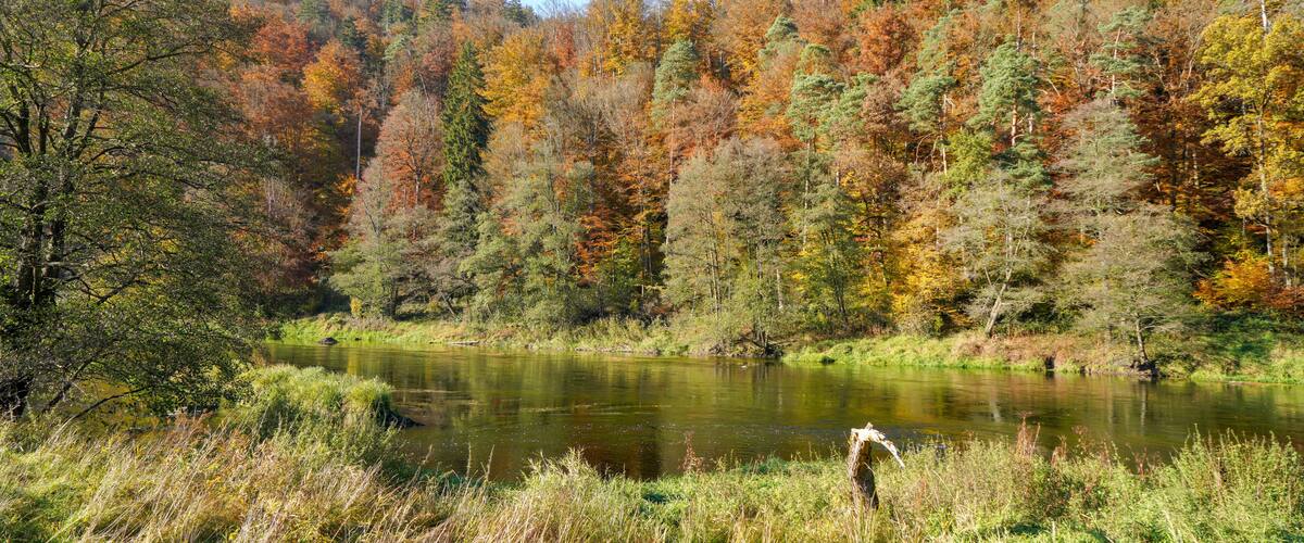 A serene lake surrounded by autumn-colored trees and a clear sky.