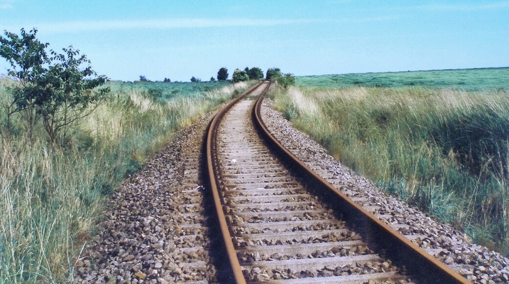 Stillgelegte Bahnstrecke von Querfurt zum sowjetischen Militärflugplatz Allstedt bei Lodersleben, 12. Juni 2000