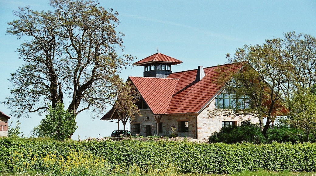 Weißenschirmbach (Querfurt), the birch sheep farm