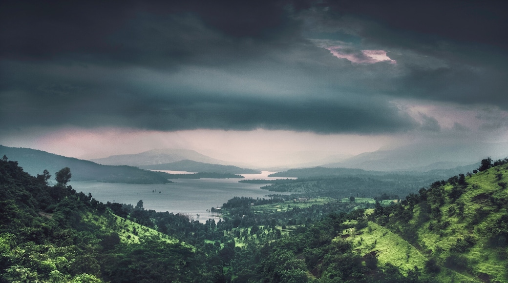 Monsoon vibes at Kaas valley, near Satara, Maharashtra, India