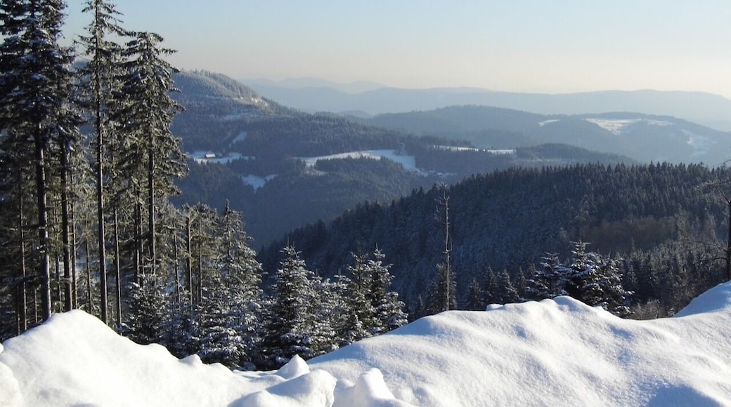 Fernblick über den Schwarzwald